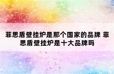 菲思盾壁挂炉是那个国家的品牌 菲思盾壁挂炉是十大品牌吗